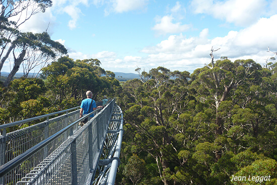 Valley of the Giants, Tree Top Walk near Denmark, Western Australia